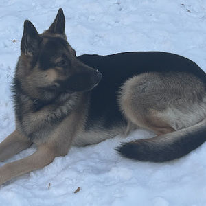 Meet your Posher, Jose